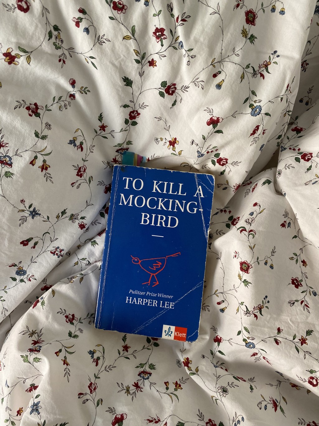 Classics Everyone Should&nbsp;Read