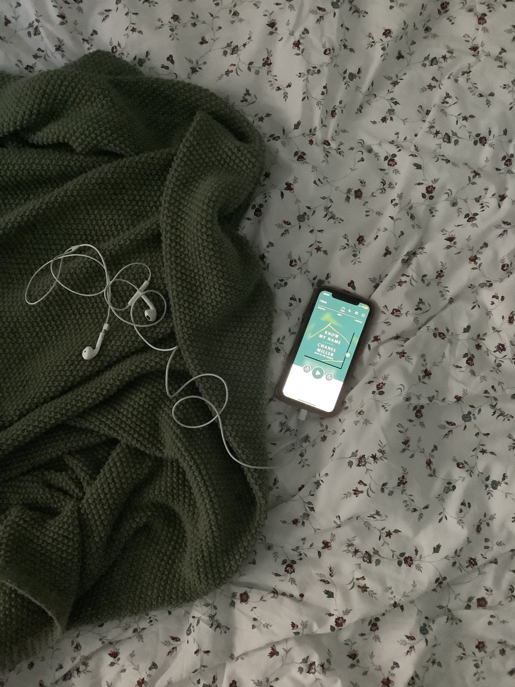 Thoughts On Counting Audiobooks As&nbsp;Reading