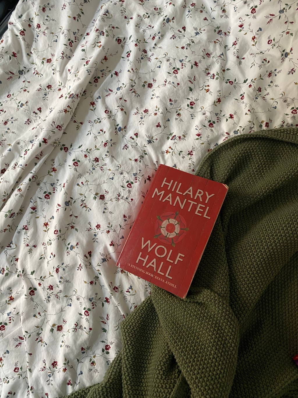 Mid-Year Book Freakout Tag&nbsp;2025