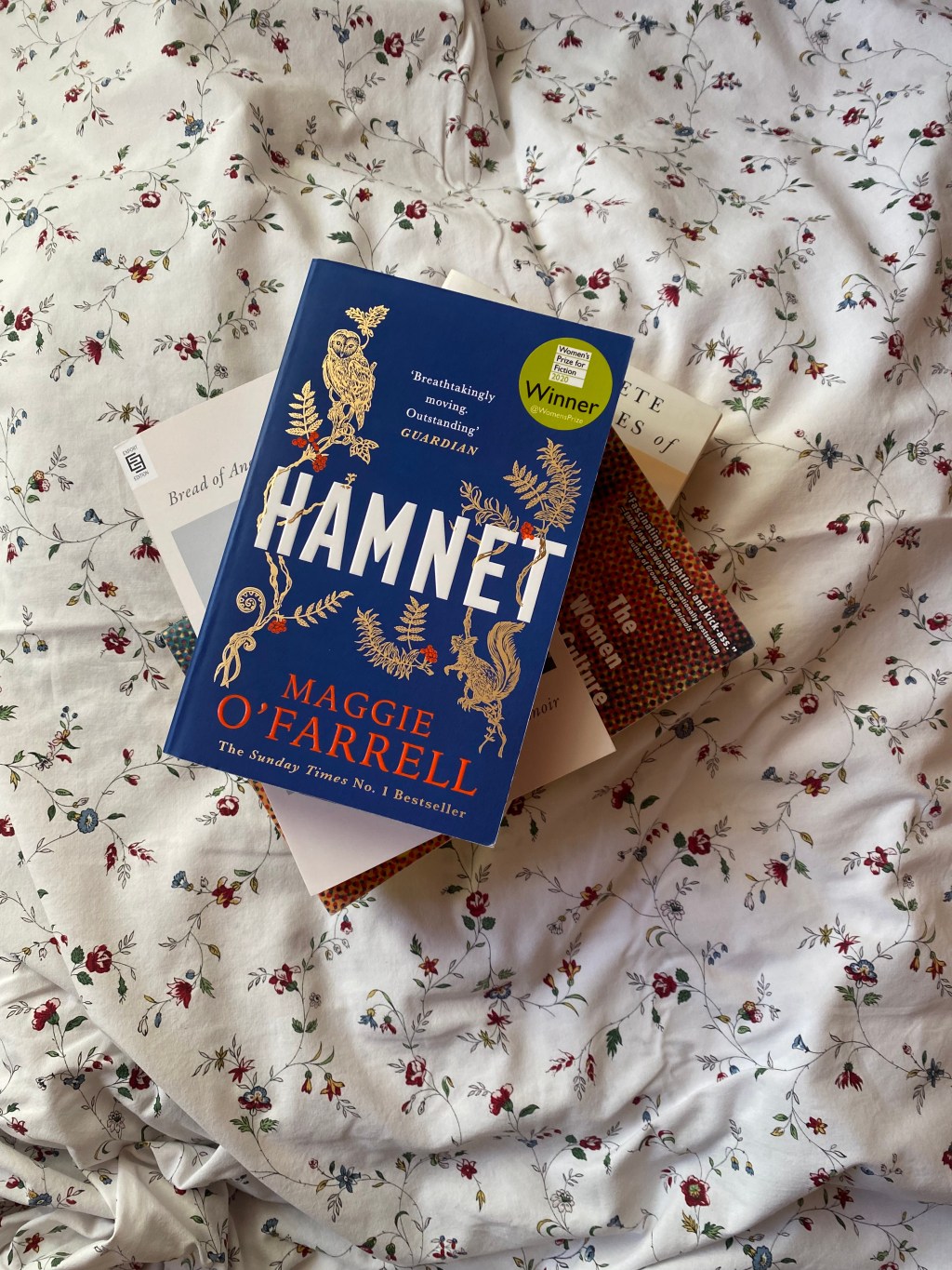 A Beginner’s Guide To Maggie O’Farrell’s Books